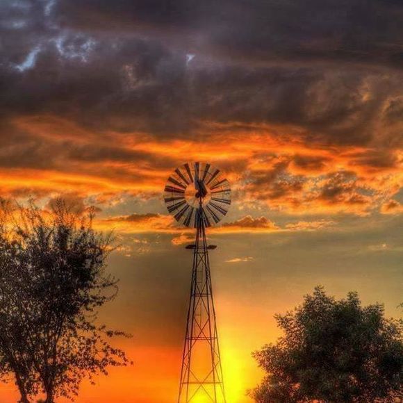 Meet your Posher, Vicky - Picture 1 of 1